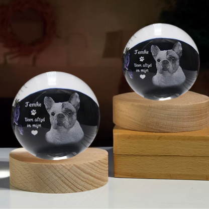 Esfera de Cristal con Luz Personalizada